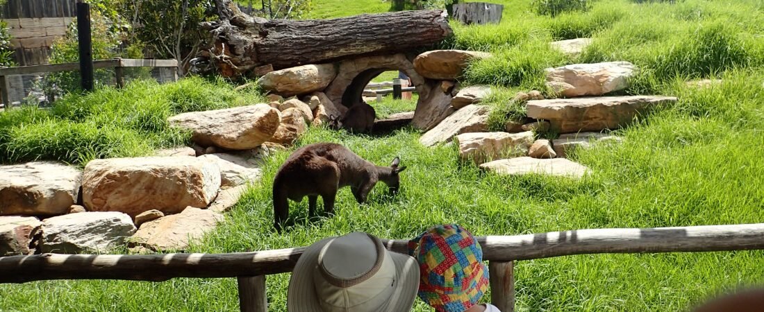 Top Kid-Friendly Activities in Sydney for Babies and Toddlers